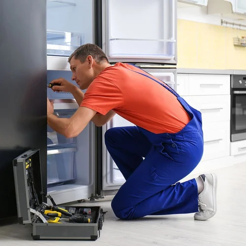 Fridge Repair Service In Abbotsford