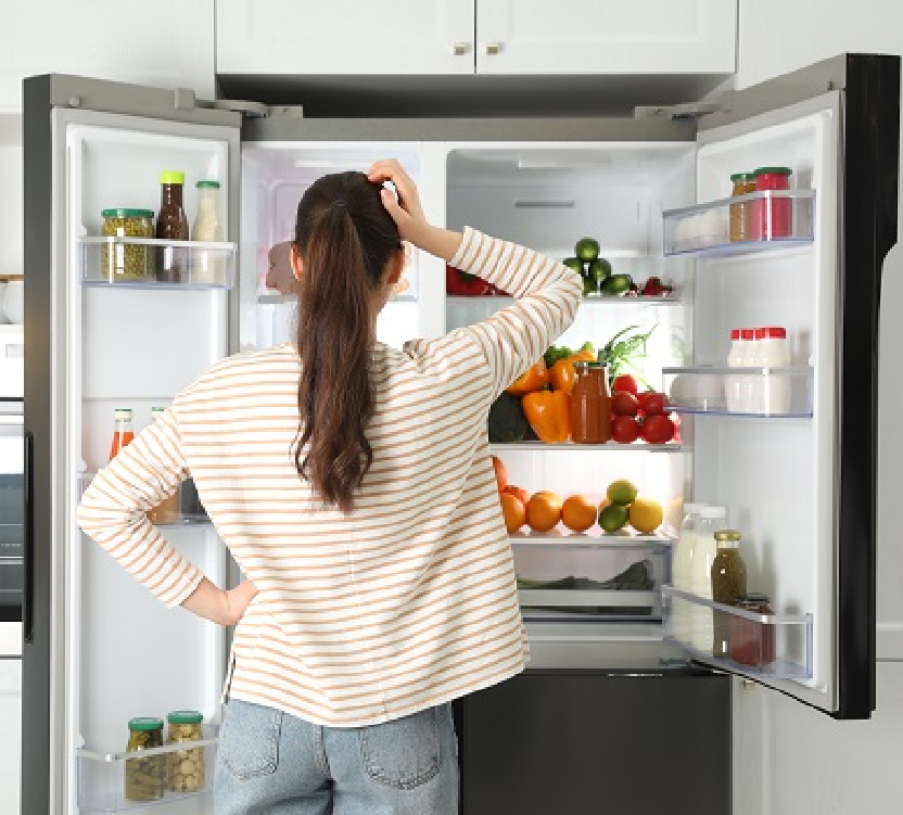 Fridge Repairs