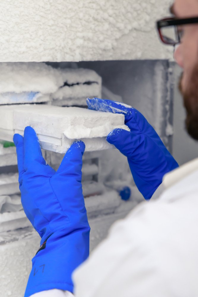 Fridge Repairs